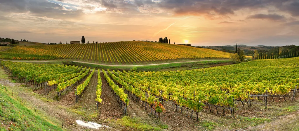 Beautiful landscape of Tuscany wine region