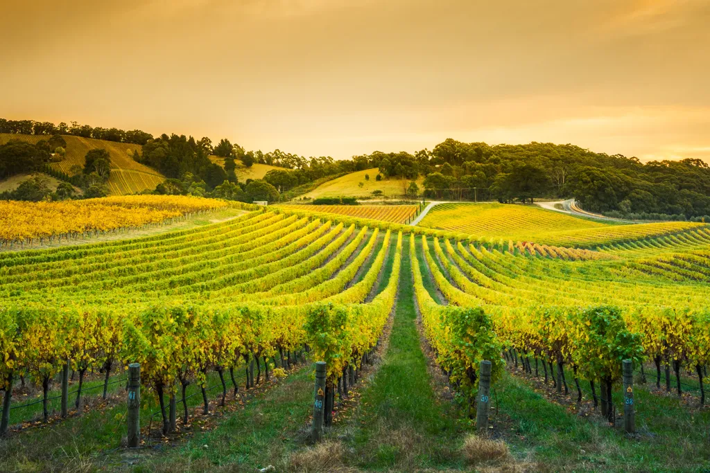Beautiful landscape of Lombardy wine region