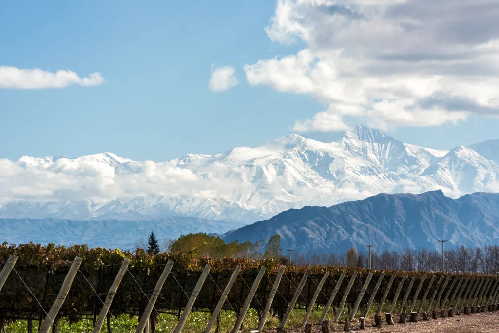 Beautiful landscape of Oregon wine region