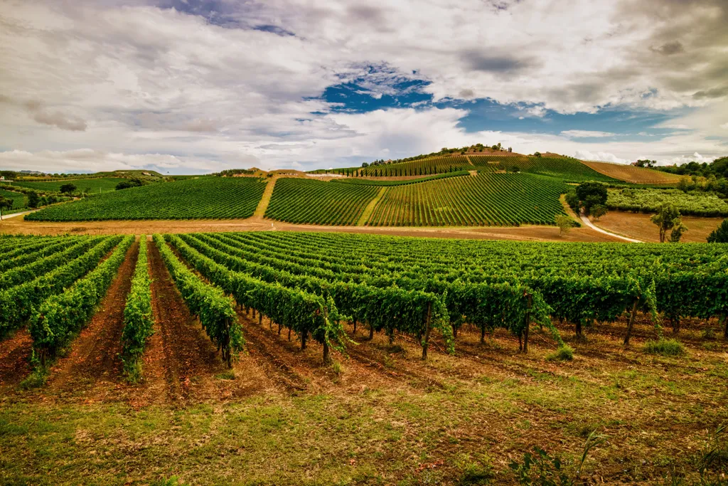 Beautiful landscape of Abruzzo wine region