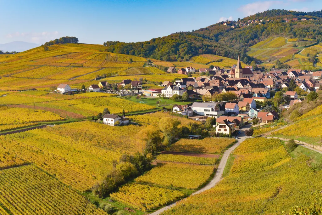 Beautiful landscape of Alsace wine region