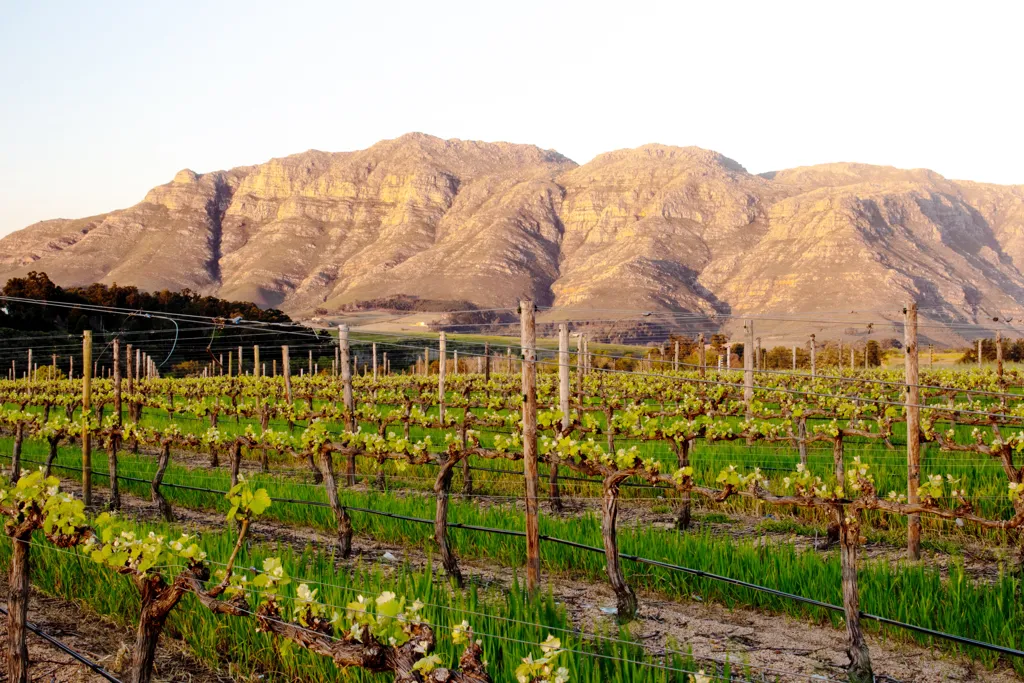 Beautiful landscape of Arizona wine region