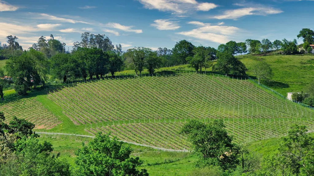 Beautiful landscape of Asturias wine region