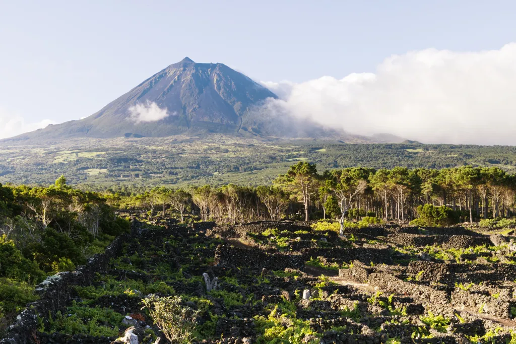 Beautiful landscape of Azores wine region