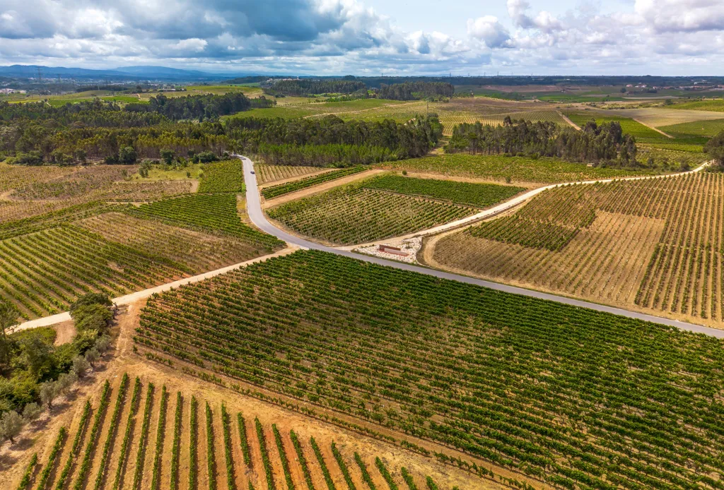 Beautiful landscape of Bairrada wine region