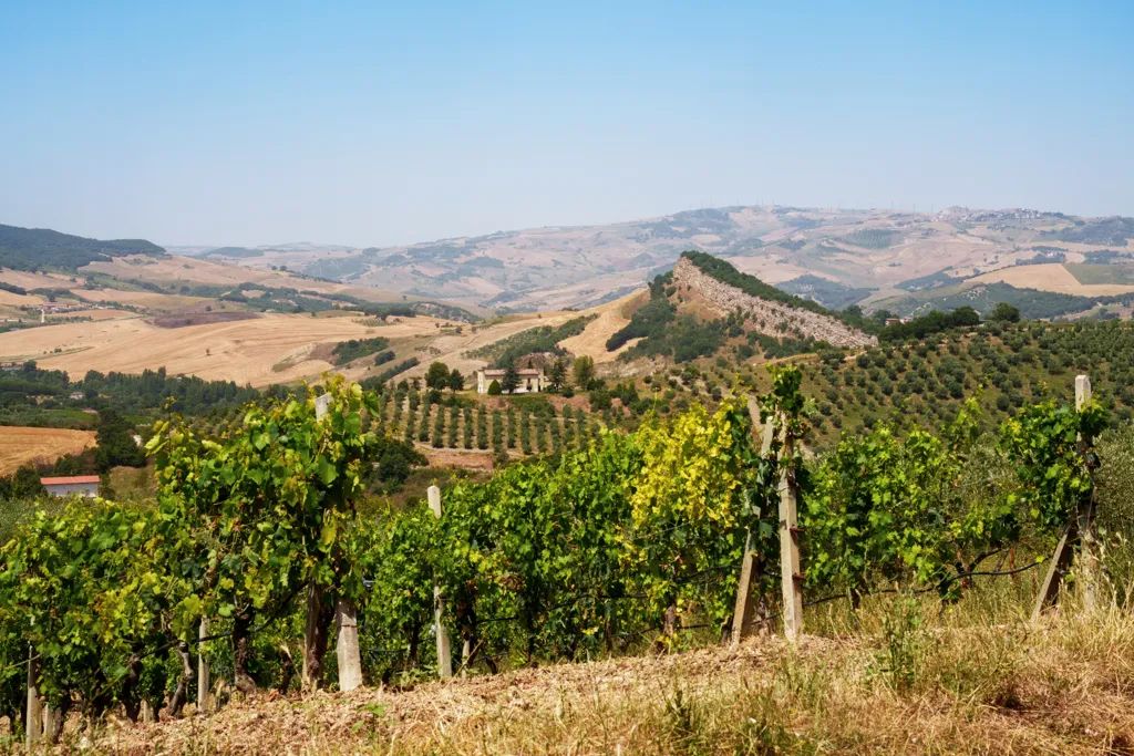 Beautiful landscape of Basilicata wine region