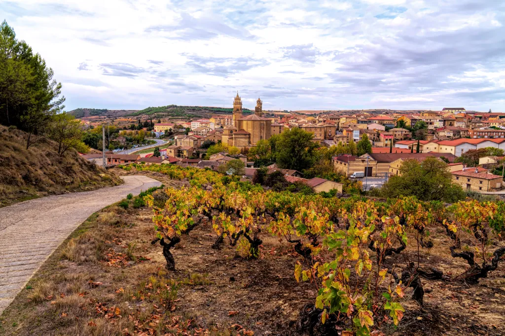 Beautiful landscape of Basque Country wine region