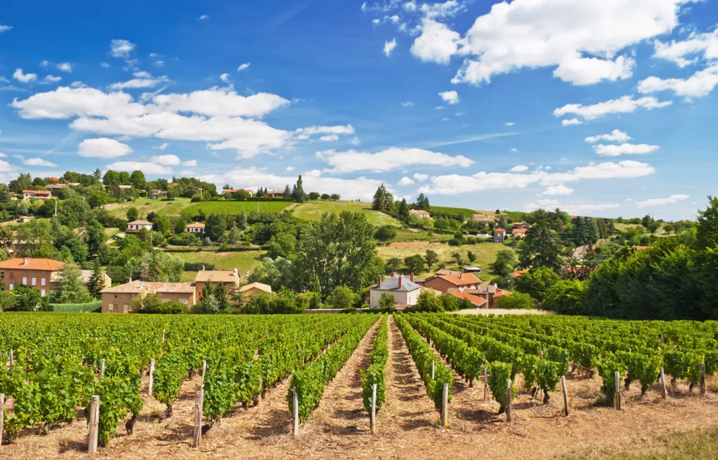 Beautiful landscape of Beaujolais wine region