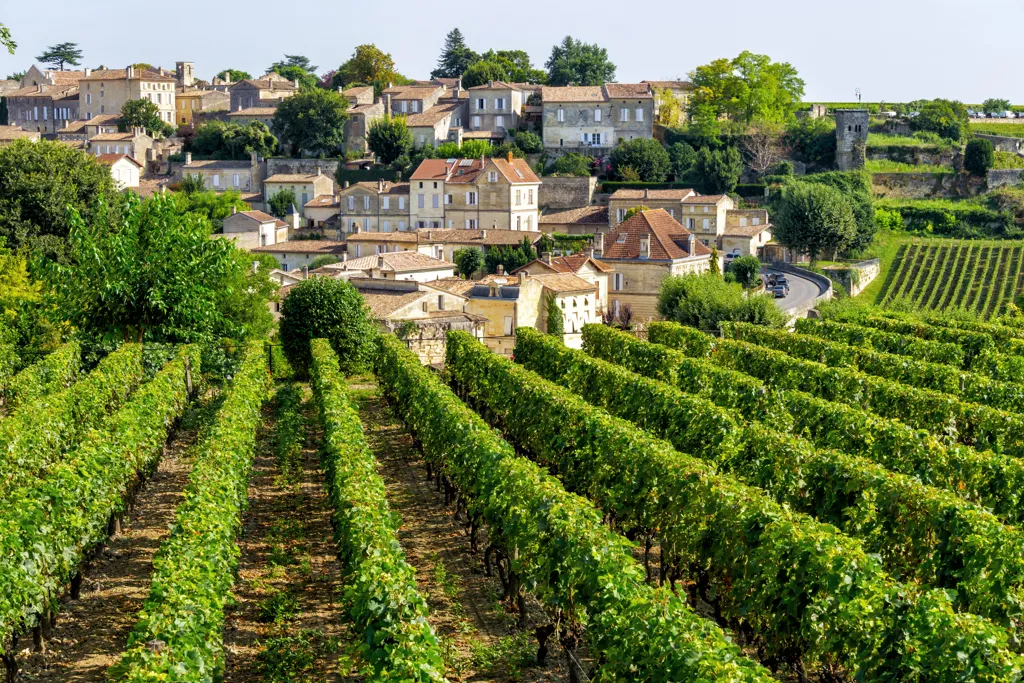 Beautiful landscape of Bordeaux wine region