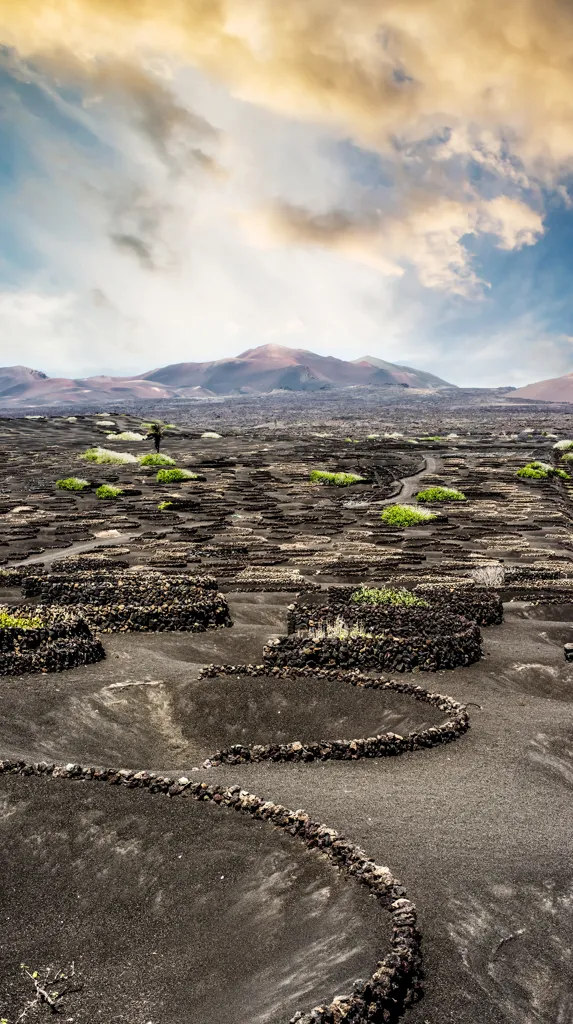 Canary Islands