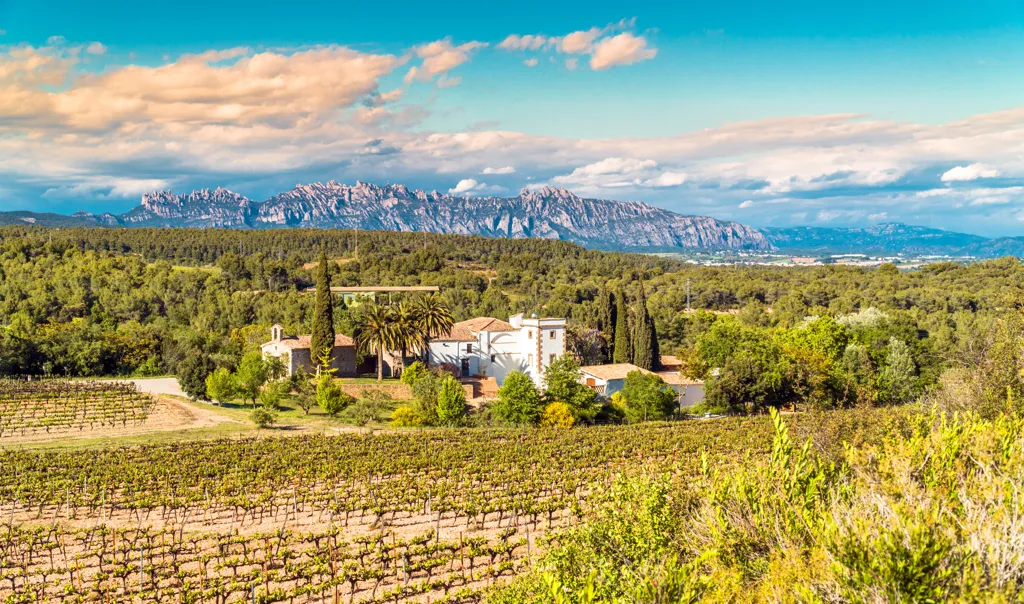 Beautiful landscape of Catalonia wine region