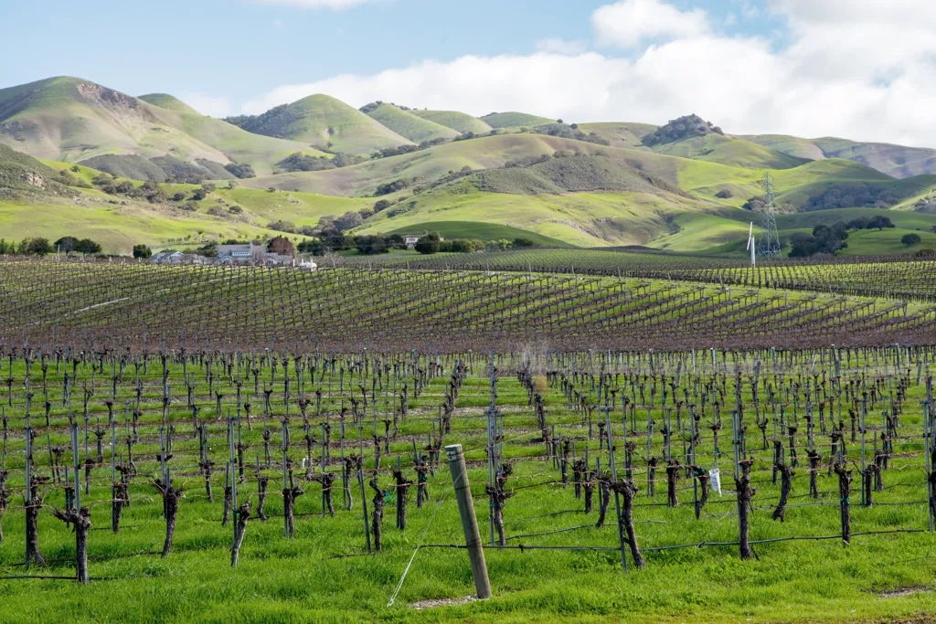 Beautiful landscape of Central Coast California wine region