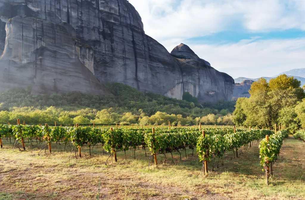 Beautiful landscape of Central Greece wine region