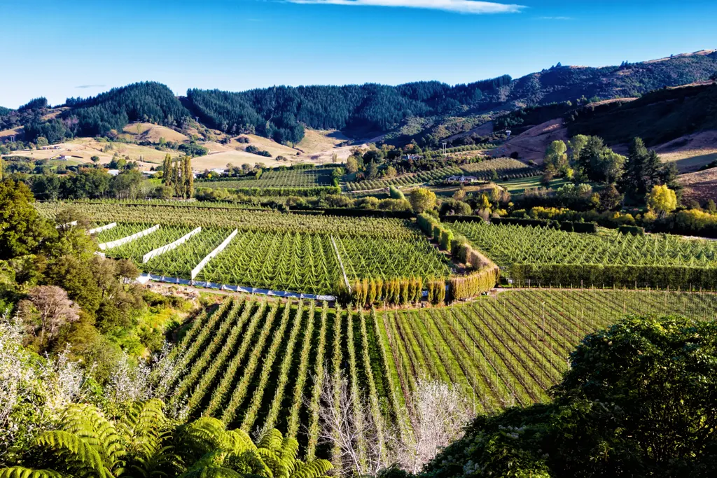 Beautiful landscape of Central Otago wine region