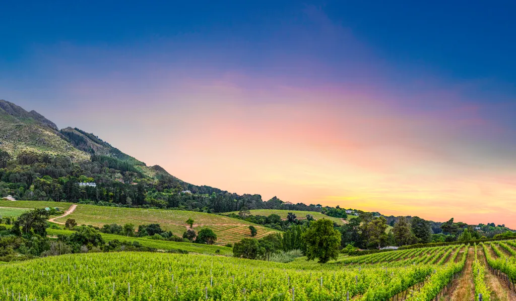 Beautiful landscape of Constantia wine region