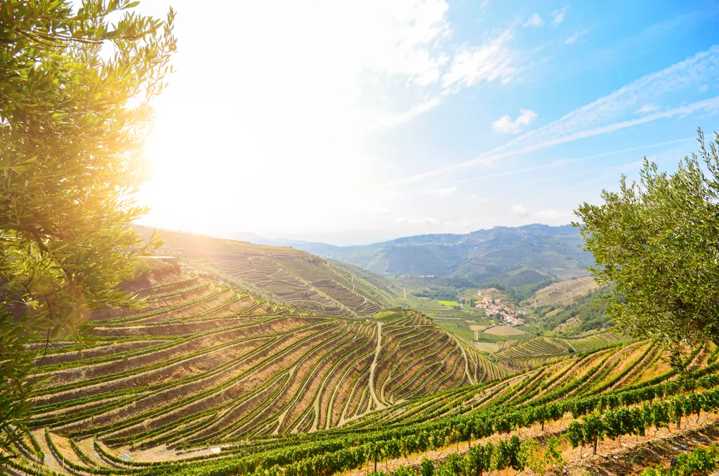 Beautiful landscape of Douro wine region