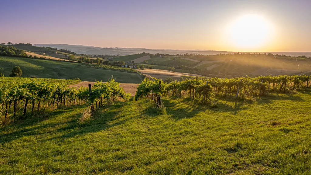 Beautiful landscape of Emilia-Romagna wine region