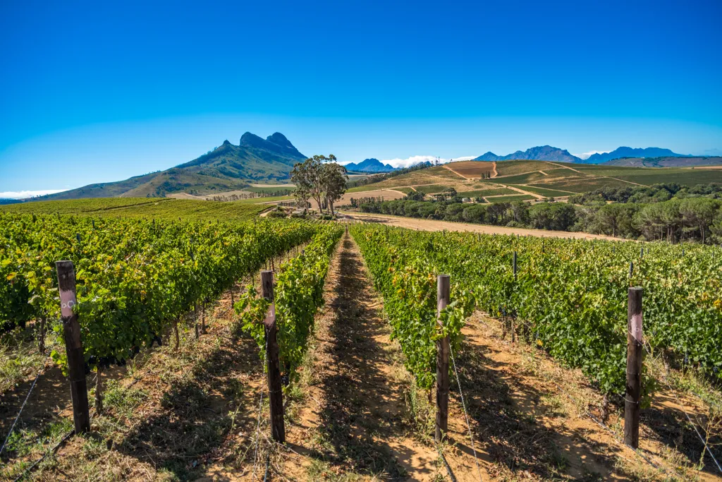 Beautiful landscape of Franschhoek wine region