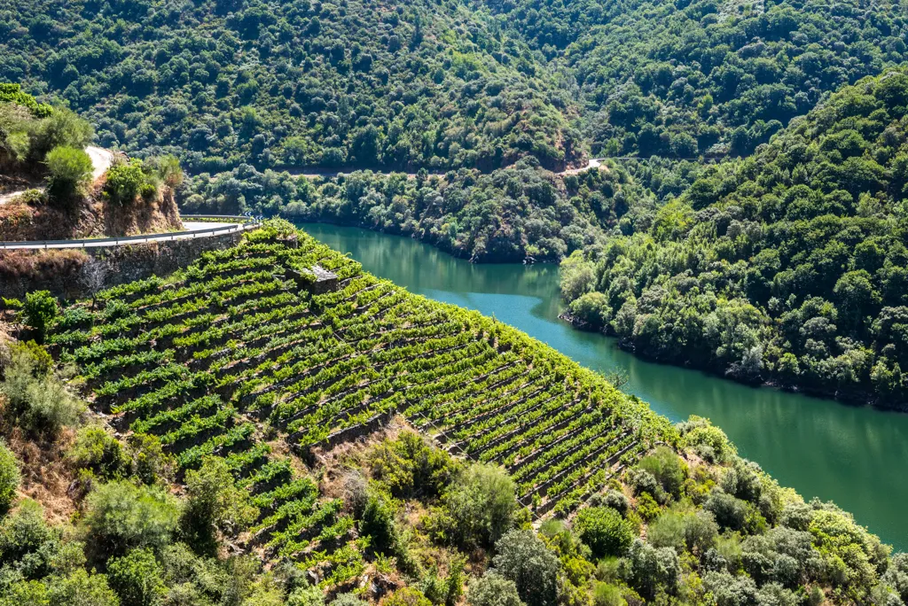 Beautiful landscape of Galicia wine region