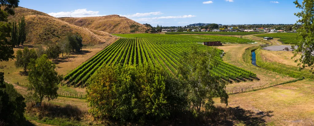 Beautiful landscape of Hawke's Bay wine region