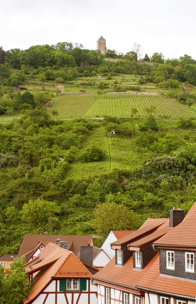 Hessische Bergstrasse