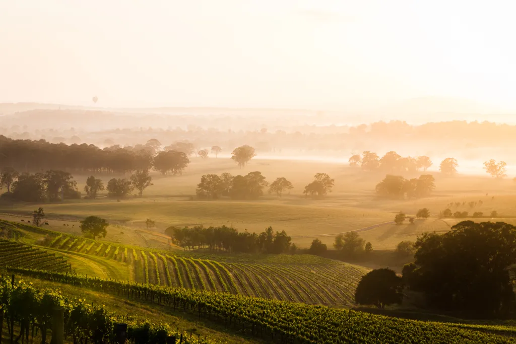 Beautiful landscape of Hunter Valley wine region