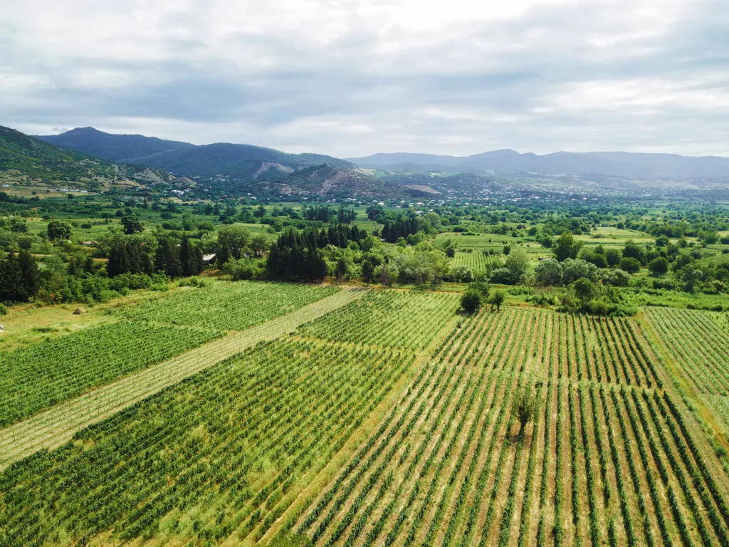 Beautiful landscape of Imereti wine region