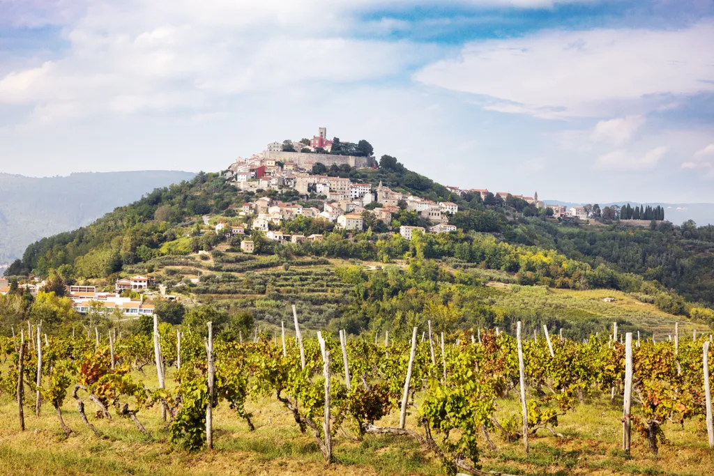 Beautiful landscape of Istria and Kvarner wine region