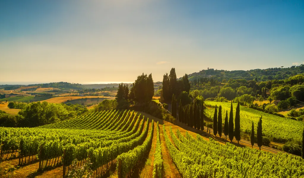 Beautiful landscape of Italy wine region