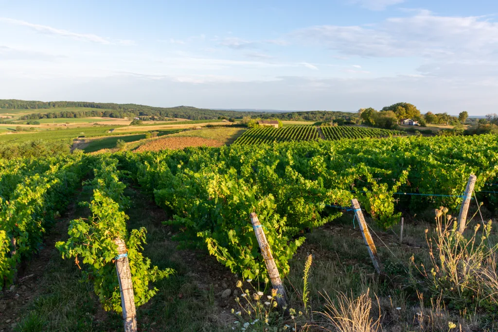 Beautiful landscape of Jura wine region