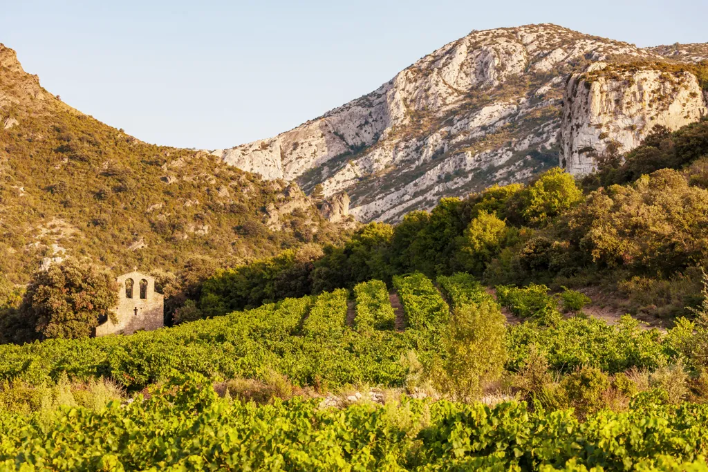 Beautiful landscape of Languedoc-Roussillon wine region