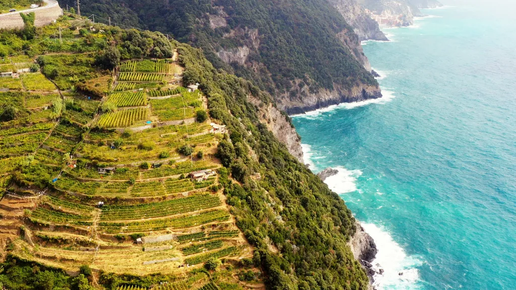 Beautiful landscape of Liguria wine region