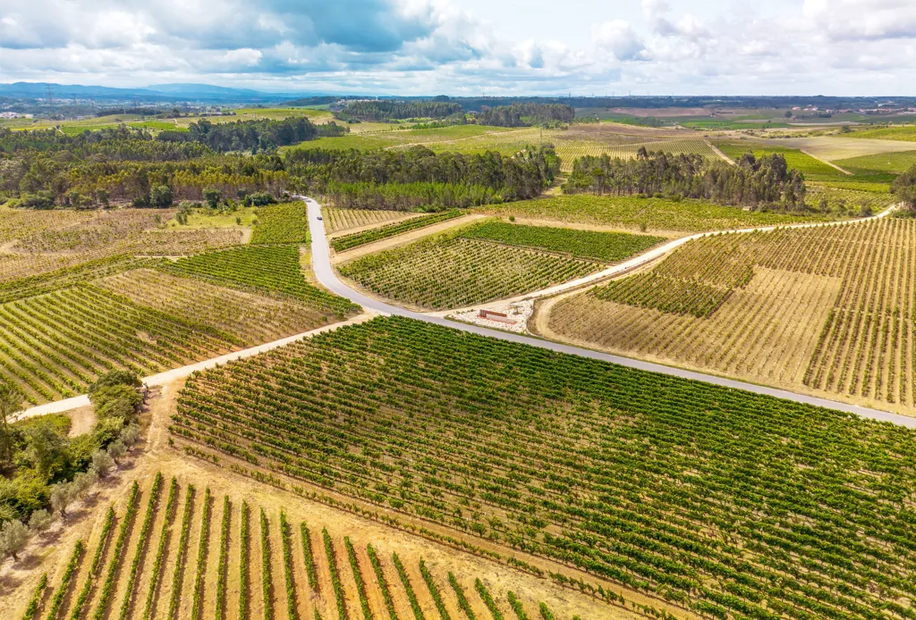 Beautiful landscape of Lisbon wine region