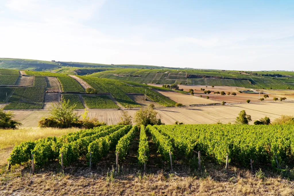 Beautiful landscape of Loire Valley wine region