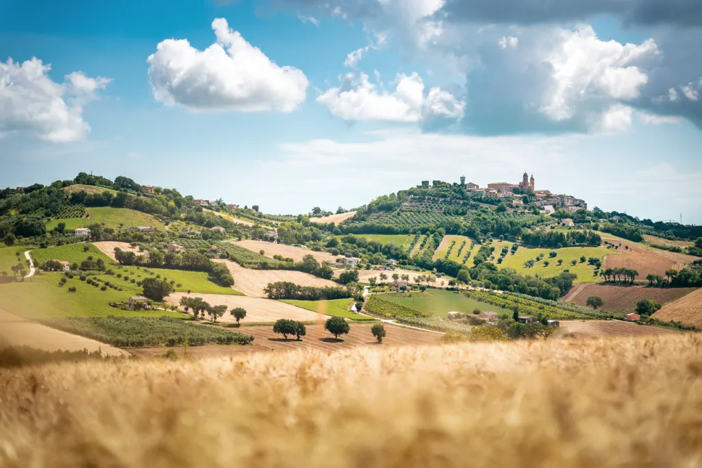 Beautiful landscape of Marche wine region