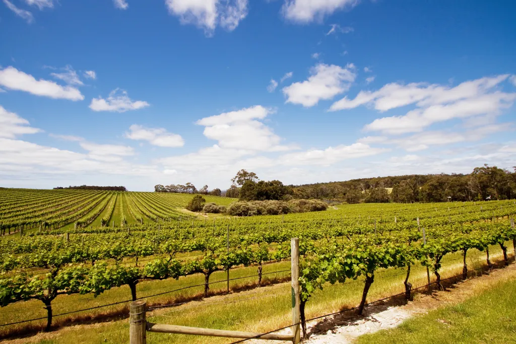 Beautiful landscape of Margaret River wine region