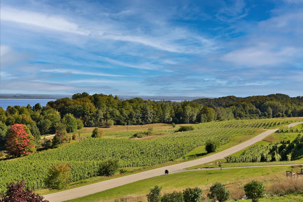 Beautiful landscape of Michigan wine region