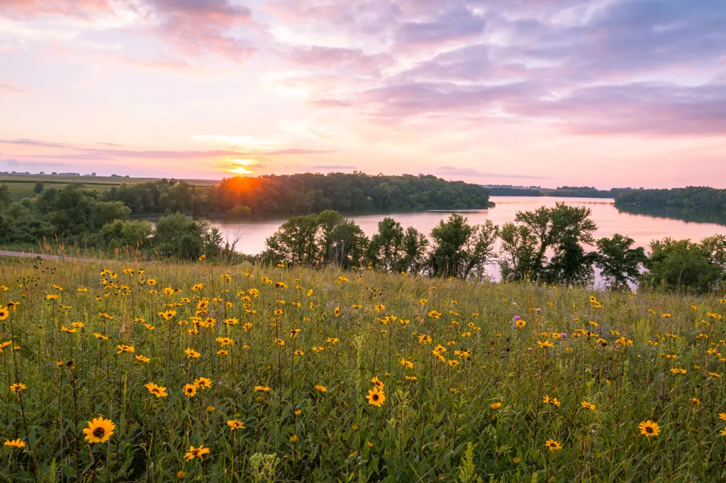 Beautiful landscape of Minnesota wine region