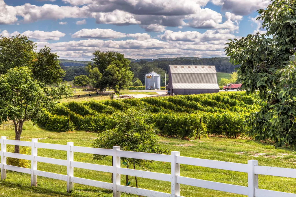 Beautiful landscape of Missouri wine region