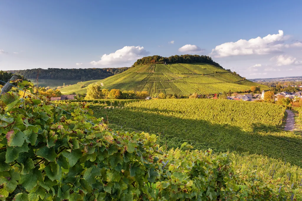 Moselle