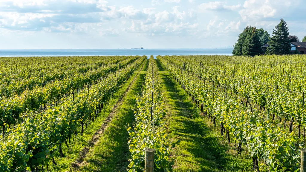 Beautiful landscape of Niagara Peninsula wine region