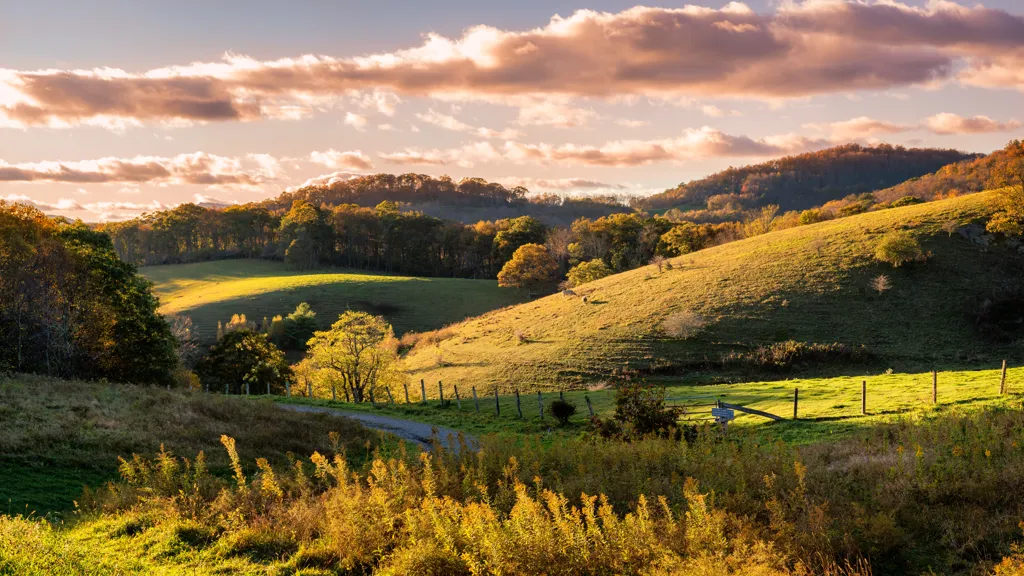 Beautiful landscape of North Carolina wine region