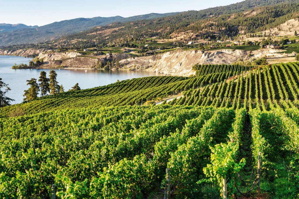 Beautiful landscape of Okanagan Valley wine region