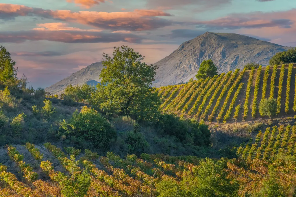 Beautiful landscape of Peloponnesos wine region