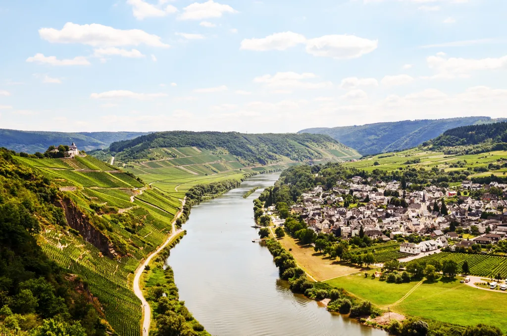 Beautiful landscape of Pfalz wine region