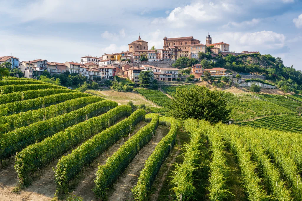 Beautiful landscape of Piemonte wine region