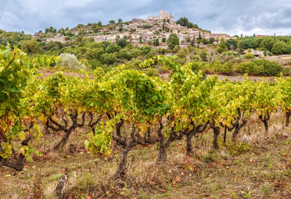 Beautiful landscape of Provence wine region