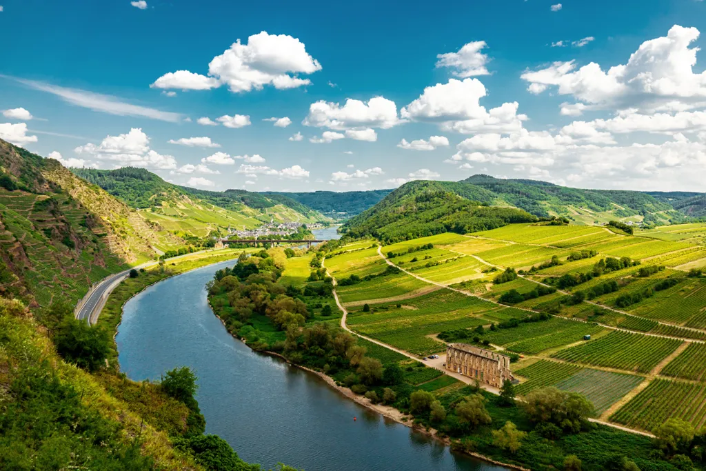 Beautiful landscape of Rheingau wine region