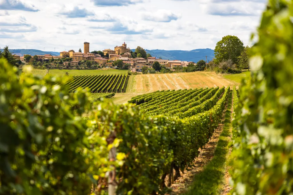 Beautiful landscape of Rhone wine region