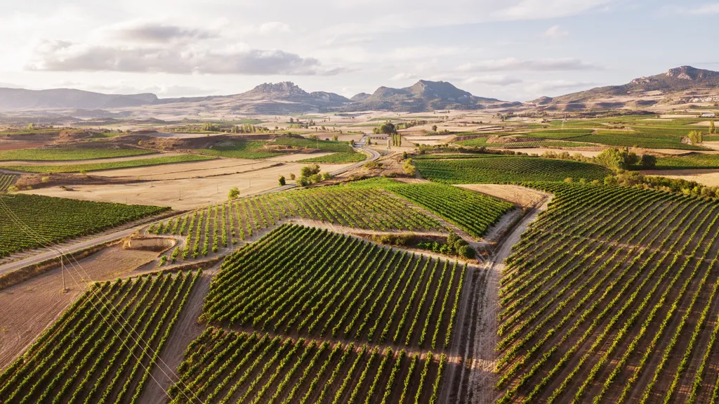 Beautiful landscape of Rioja wine region